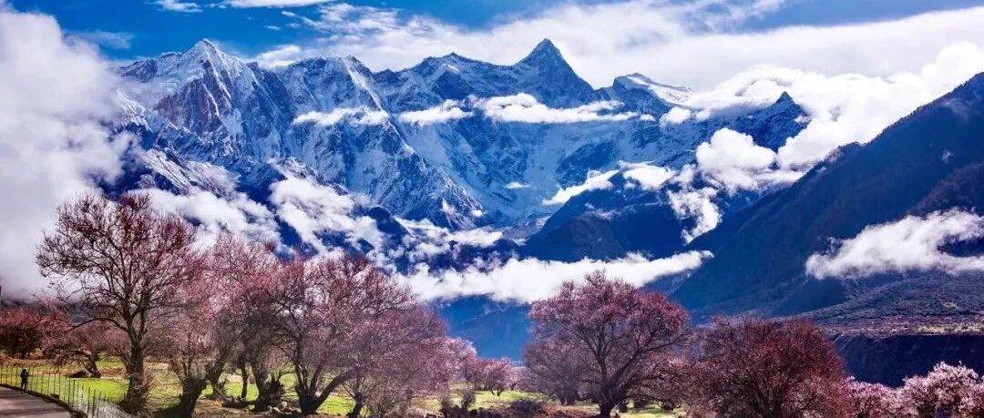 西藏的春天，适合谈恋爱！