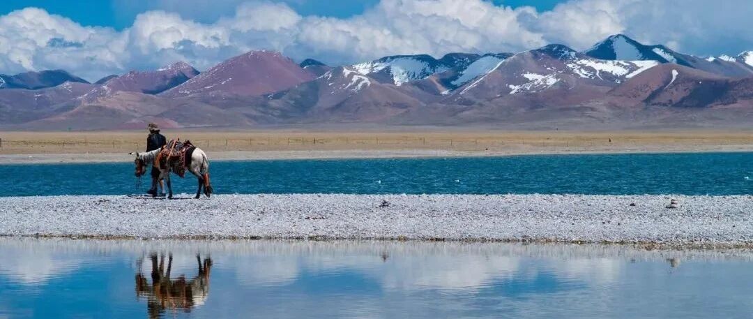 过完春节，你一定要去看看三四月的西藏
