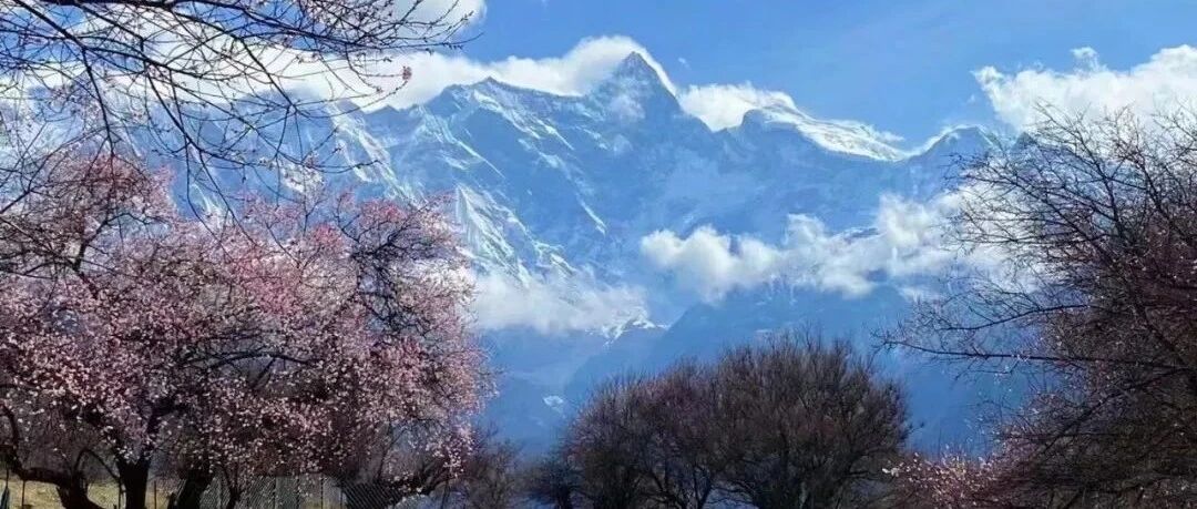 3月20大理出发：丙察察-林芝桃花，最烂的路最美的景