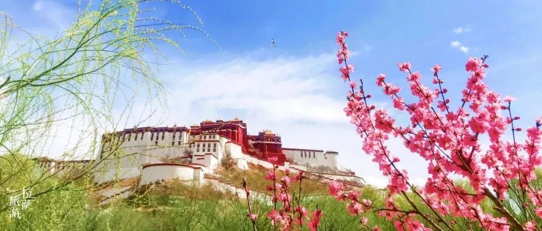 西藏拉萨的春天拍了拍你，你怎么还不来？