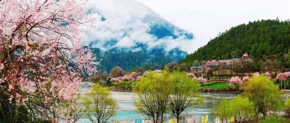 川藏线的春天，是被桃花唤醒的！