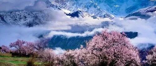 林芝桃花节深度摄影山南环线5日游（拉萨出发）