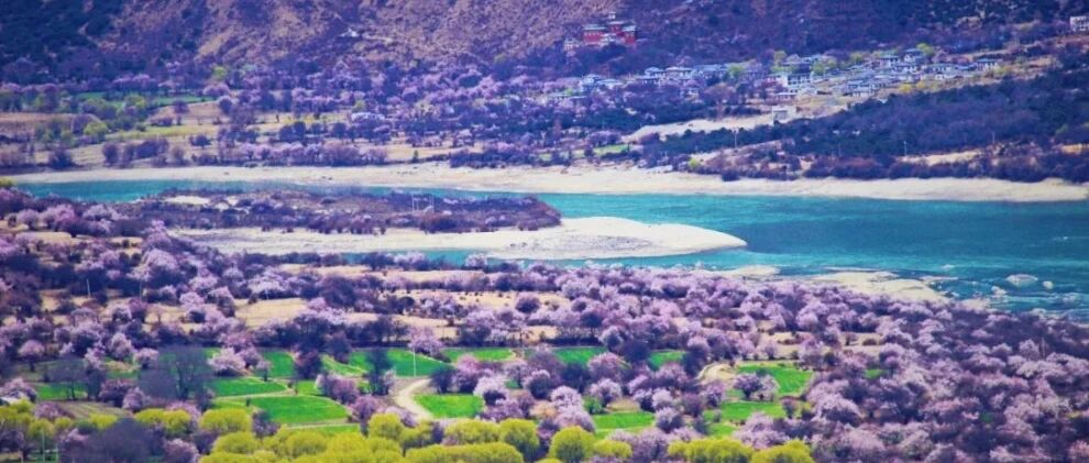 2022年林芝桃花节自驾游赏花线路攻略