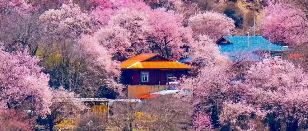 林芝桃花深度8日游|波密桃花沟+扎西岗村+索松村+南迦巴瓦+墨脱+萨普冰川+圣象天门