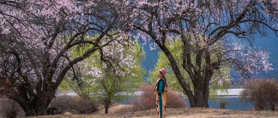 你这一年的花花世界全被西藏米林“承包”了！