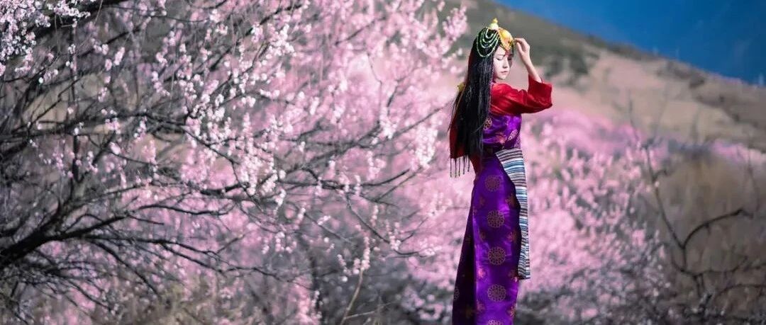 今年的林芝桃花千万别再错过！