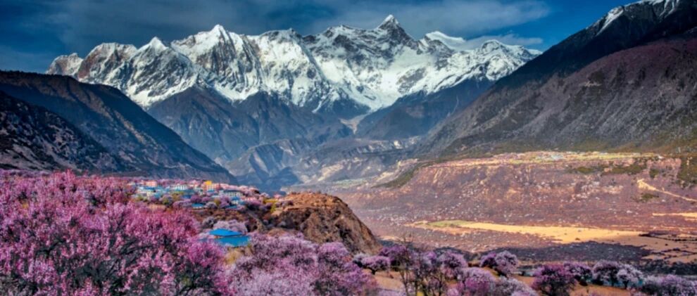 金川梨花+林芝桃花 | 318川藏线10天9晚拼车组队中……