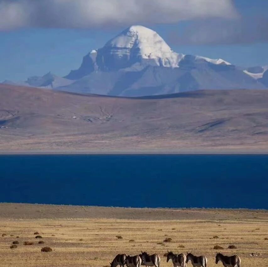 去西藏，为什么一定要去阿里？附阿里自驾游全攻略