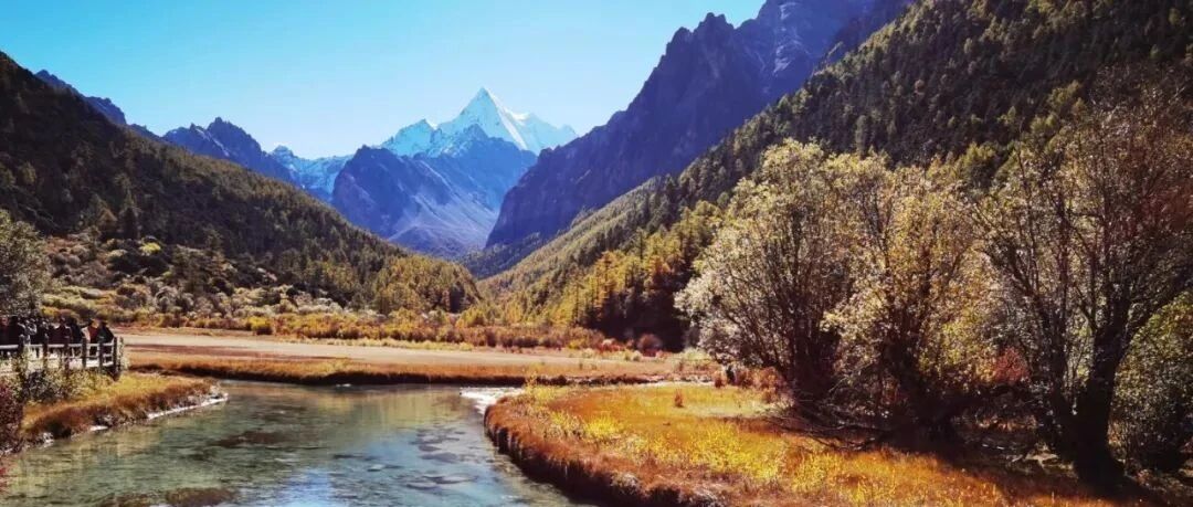 稻城亚丁的秋色~林深时见鹿，梦醒时见你