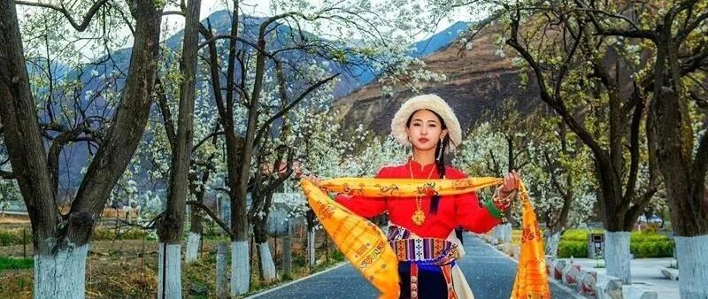 金川梨花+林芝桃花·318川藏线深度10日游拼车