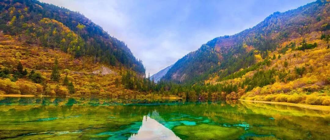 最新最全~四川各大热门景区实时出行政策都在这！