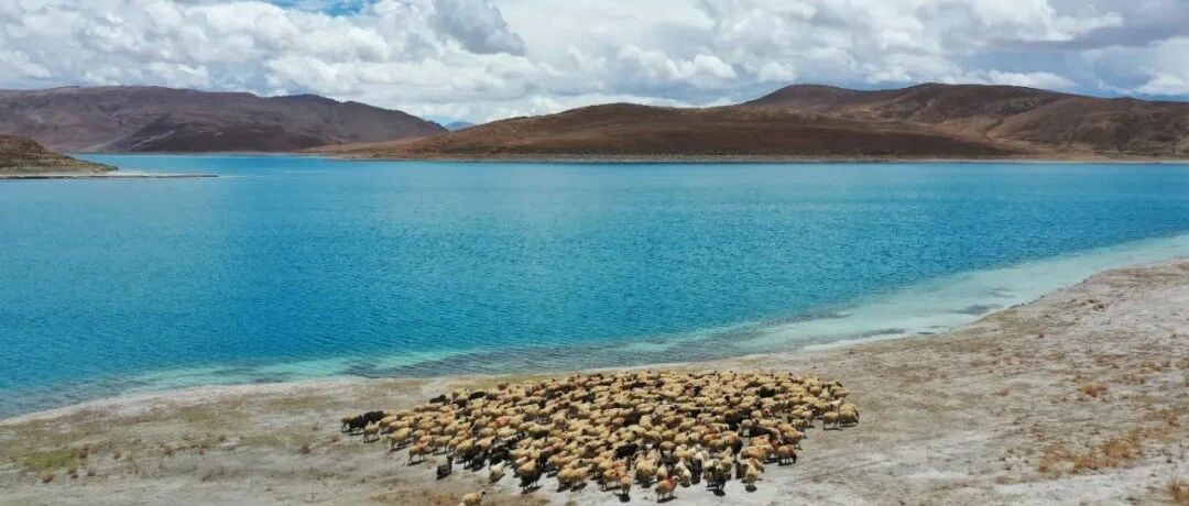 注意，3月20日起西藏山南暂缓接待游客！