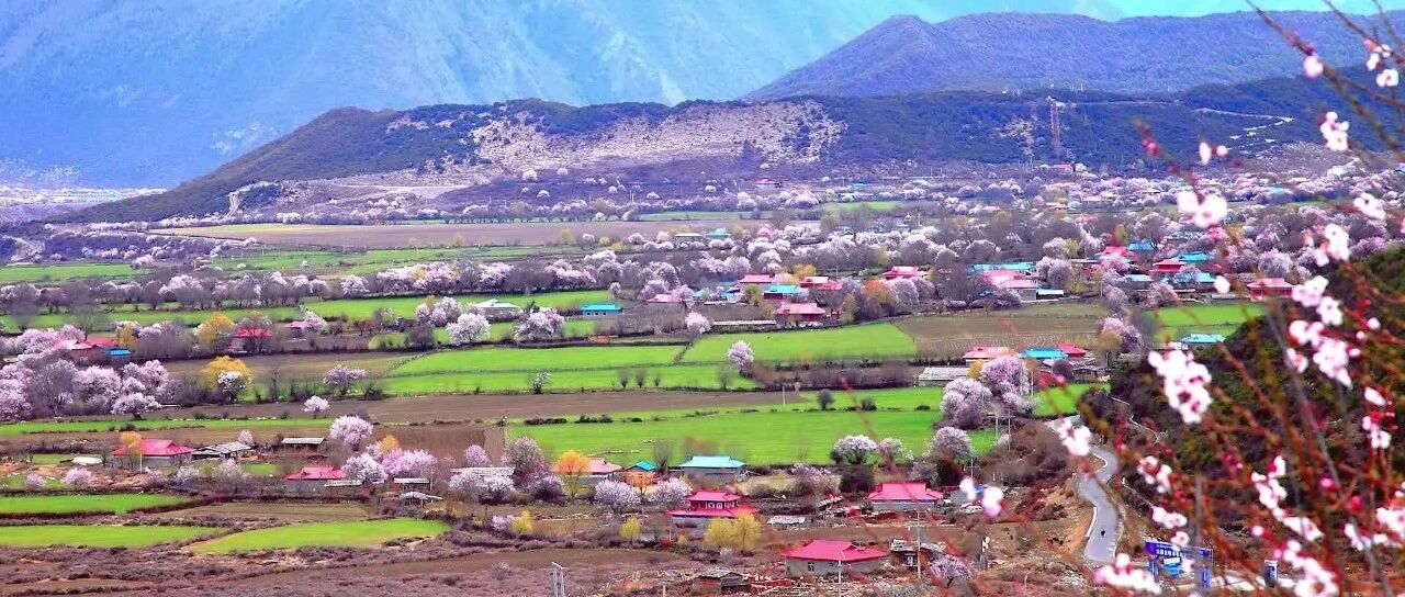 林芝桃花+金川梨花 | 318川藏线深度10日游拼车