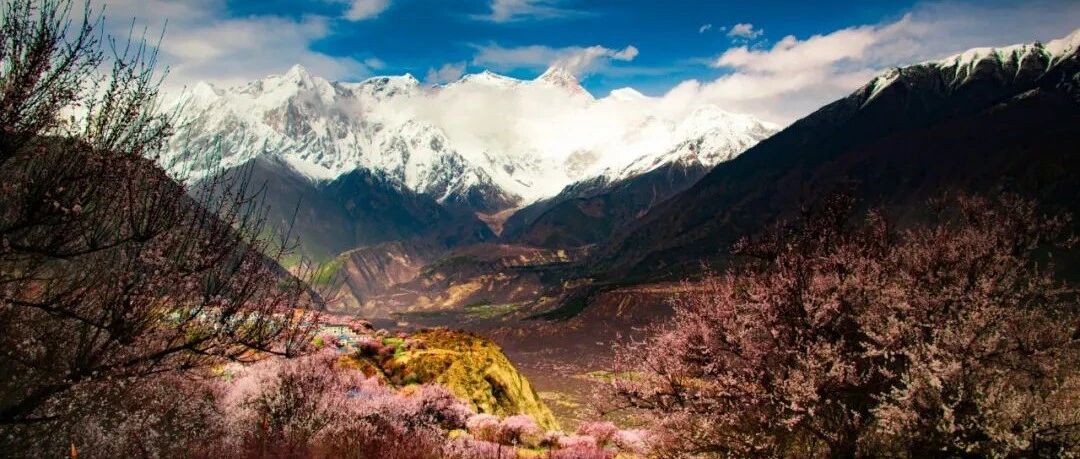 此生必驾·林芝桃花 | 318川藏线10天自驾游拼车组队