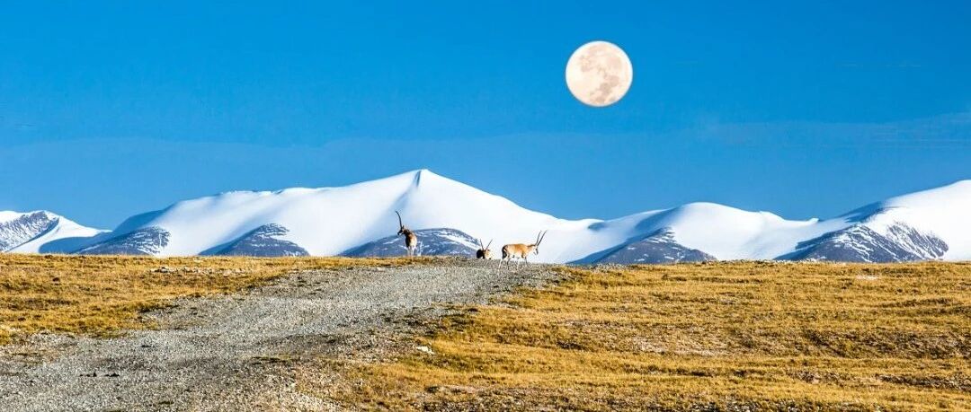 珍藏！这10条西部行自驾路线，霸占了中国一半的美！