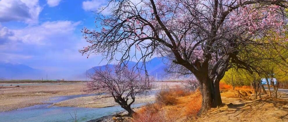 此生必驾·318|川藏线旅游10天自由行拼车招募队友…