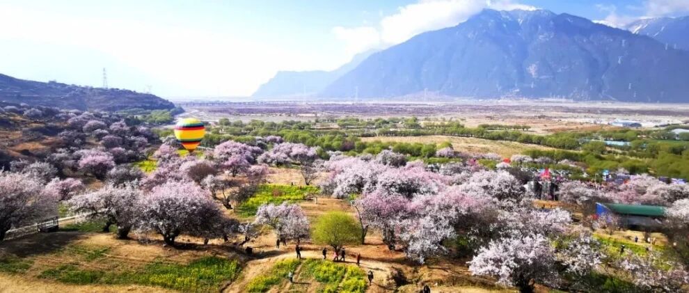 收藏！3条林芝桃花最佳观赏线路