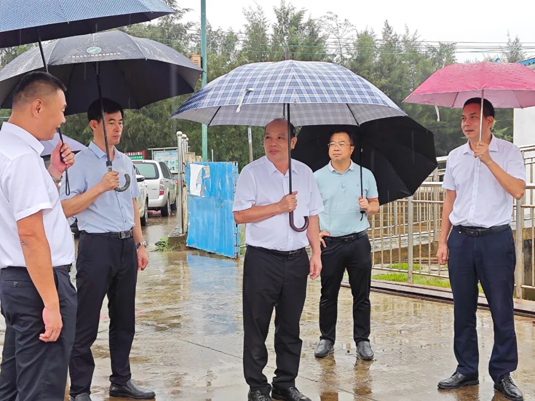 庞章辉到港口区开展湿地保护法执法检查 港口区要