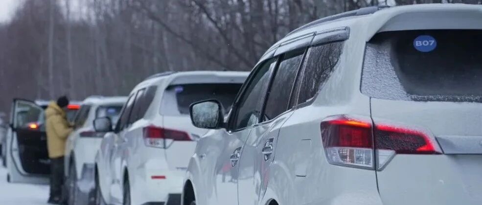 南方人来到这种地方，太好玩啦