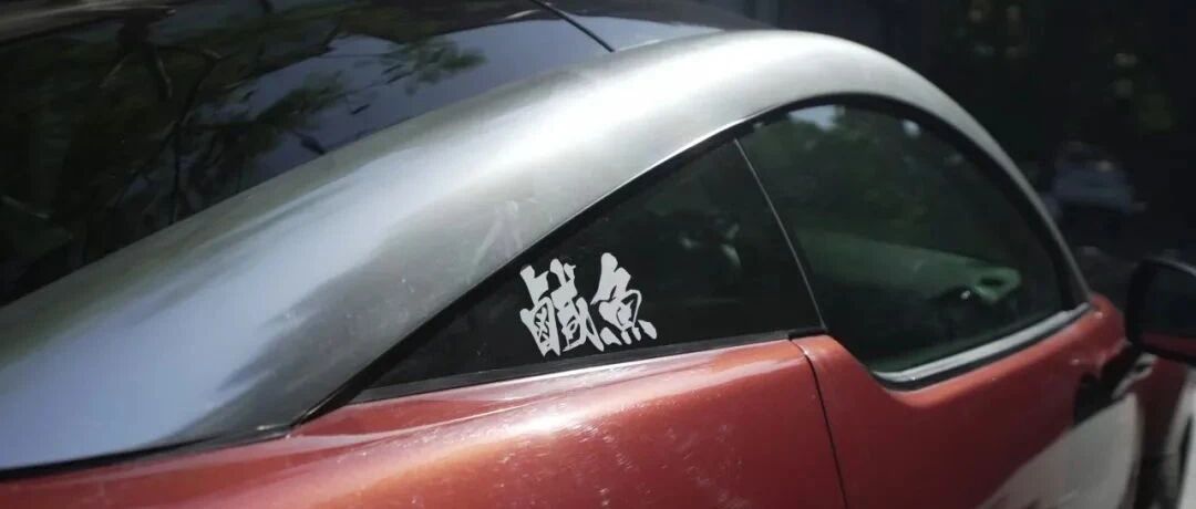 她真美，却被现实无情的打脸了