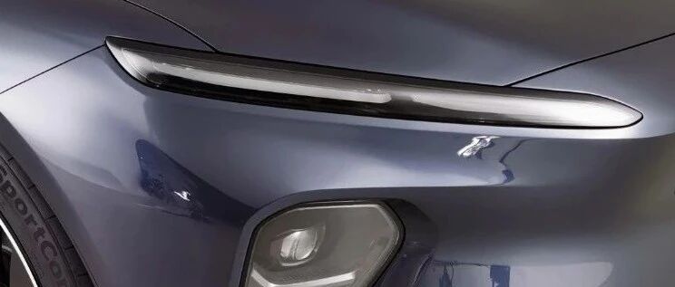 它是中国品牌的“高级感”担当?