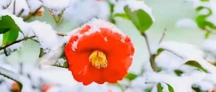 写一纸红尘，拥半帘风花