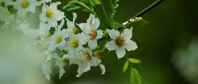 初夏的风，初夏的雨