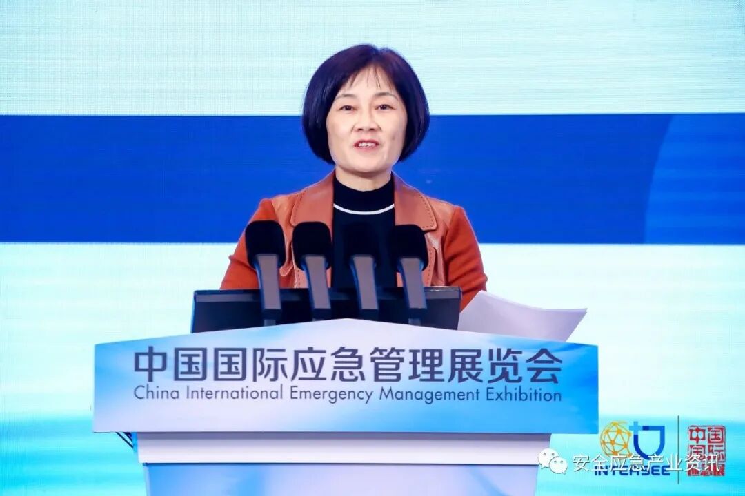 中国安全生产科学研究院副院长胡萍讲安全生产信息化与智能化建设