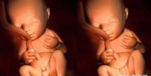 男翻女可能性_4个的原因男翻女_为什么说男翻女几率大