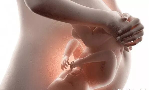 4个的原因男翻女_为什么说男翻女几率大_男翻女可能性