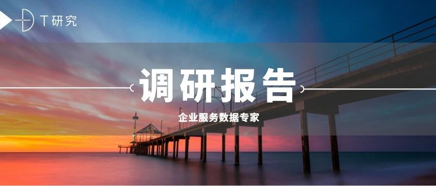 预告|2020中国BI品牌测评报告