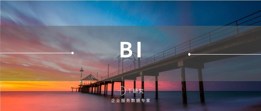 T研究|2020中国BI指数测评报告
