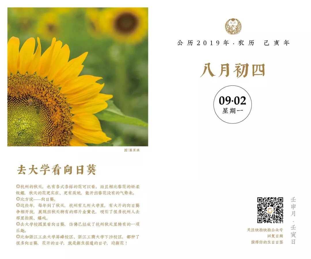 杭州歷 I 9月2日 去大學看向日葵 快拍快拍網 微文庫