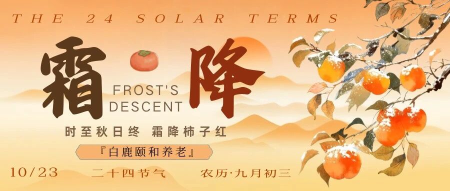 【白鹿节气】霜降柿红・颐和绘暖|白鹿颐和邀您共绘秋日 “柿柿如意”