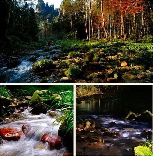 张家界景区咨询电话号码_张家界景区电话号码_张家界景区咨询电话