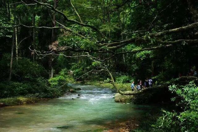 张家界景区咨询电话号码_张家界景区咨询电话_张家界景区电话号码