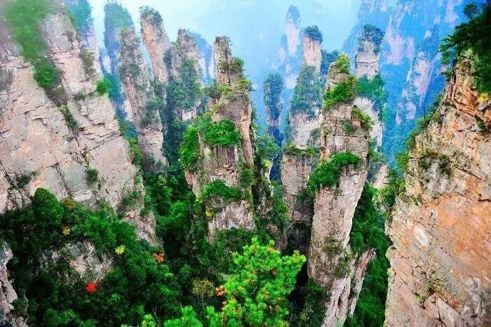 张家界景区咨询电话_张家界景区电话号码_张家界景区咨询电话号码