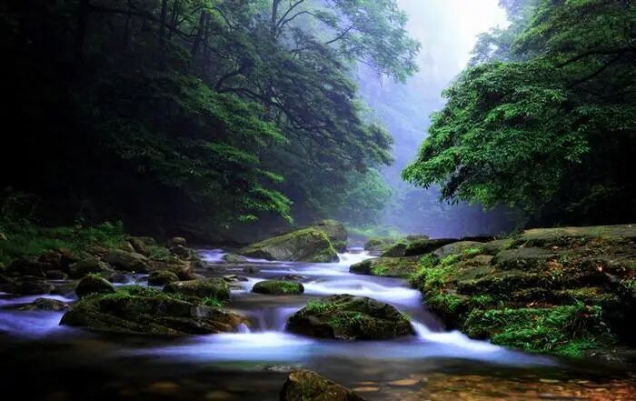 张家界景区咨询电话号码_张家界景区电话号码_张家界景区咨询电话