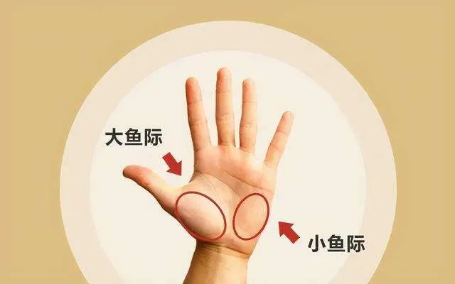 圖片關鍵詞