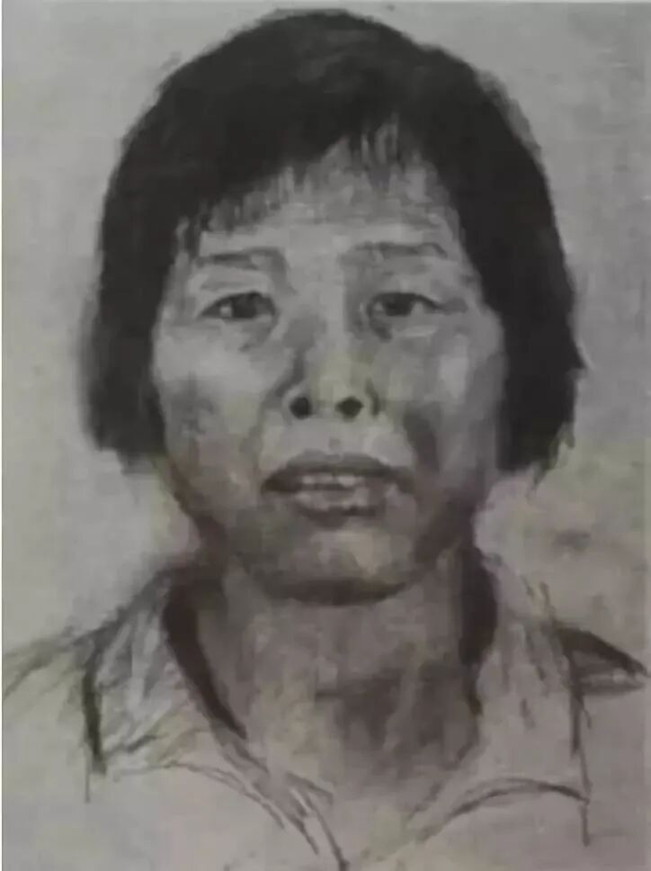 人贩子“梅姨”，这一次你逃不掉了！