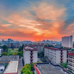 上海財經大學本科招生網_上海財經大學招生視頻_上海財經大學本科招生簡章