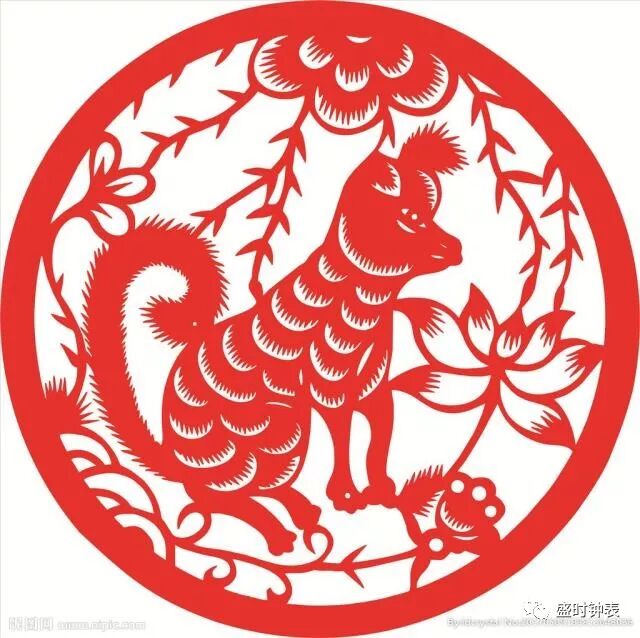 哪些狗是表圈真“网红”?