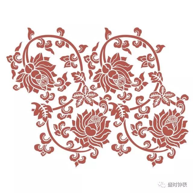 哪些狗是表圈真“网红”?