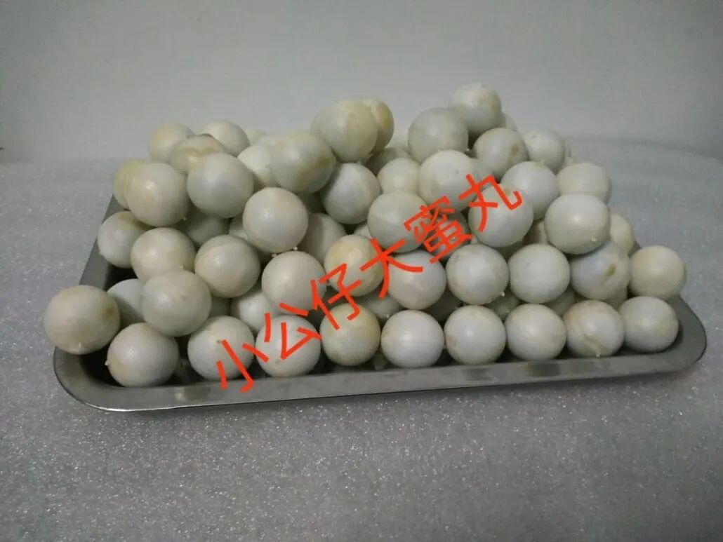 我在「生男孩秘方群」潜伏了半个月，大师说：小公仔大蜜丸，白天同房包生男（组图） - 8