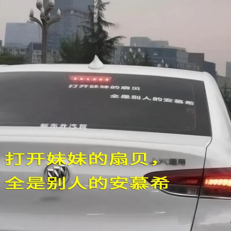 【女性】每一个贴在老司机车上的「春梦」，都是行走的精神污染（组图） - 1