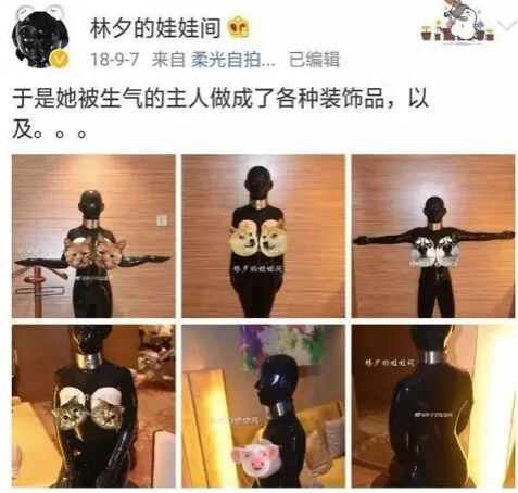 把女孩驯化成性爱机器人的ASFR，是情趣还是犯罪？（组图） - 12