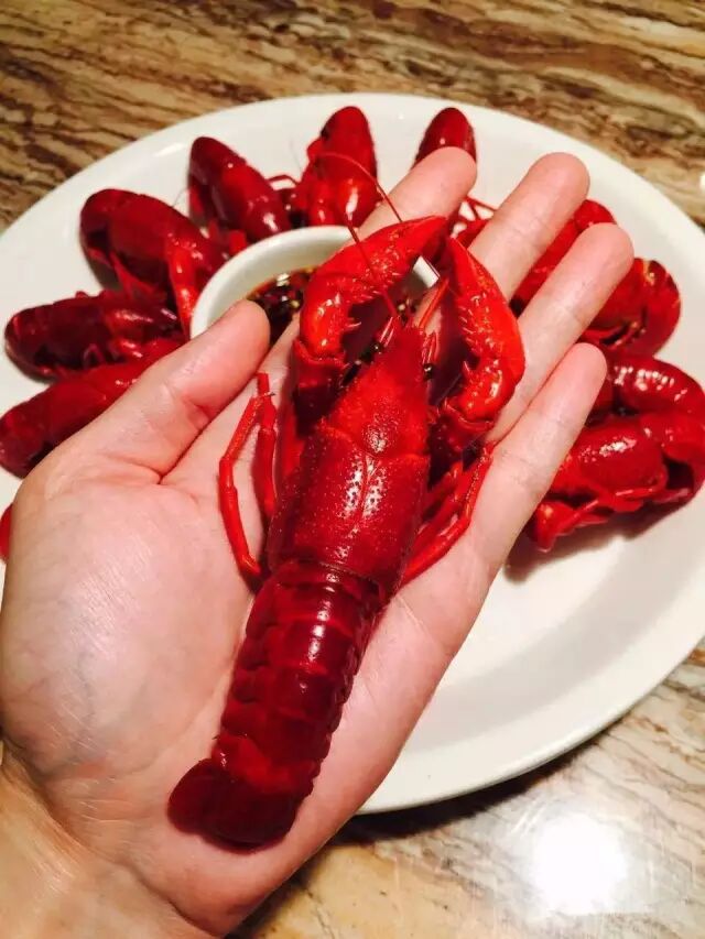 去年日销800多斤的小龙虾杀回来啦!