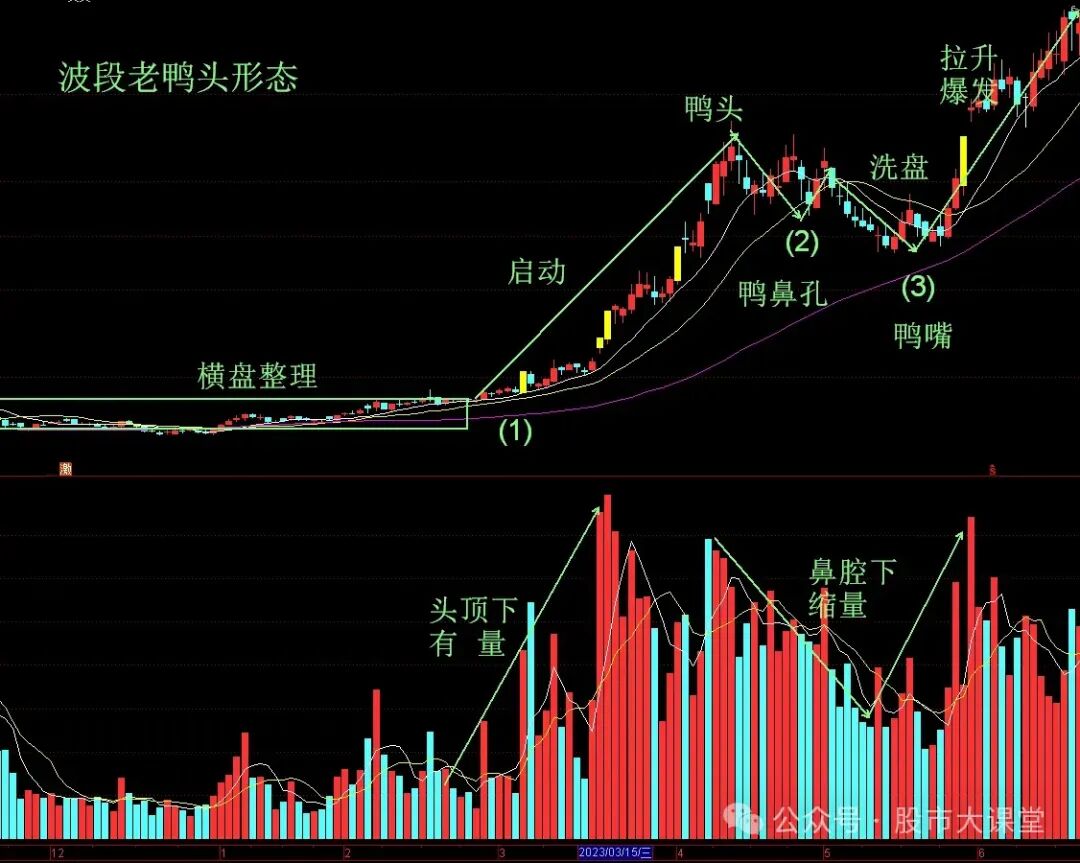学会干货知识——详细解析"老鸭头形态"的实战用法