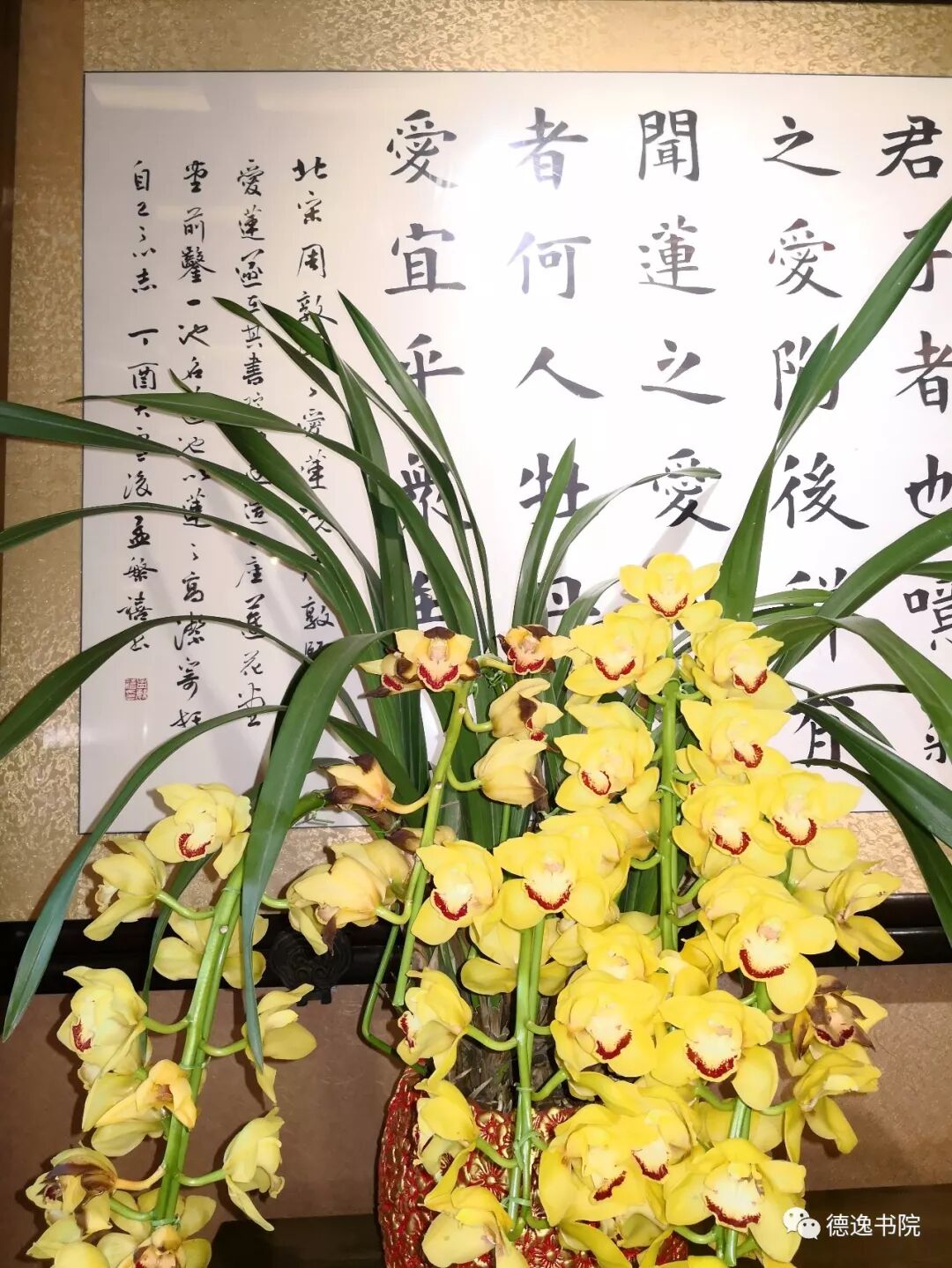 德逸老师语音分享"梦境与现实的链接"概论简述