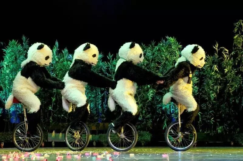 %name “华星艺术节”拉开帷幕，悉尼中秋演出季正式启动！
